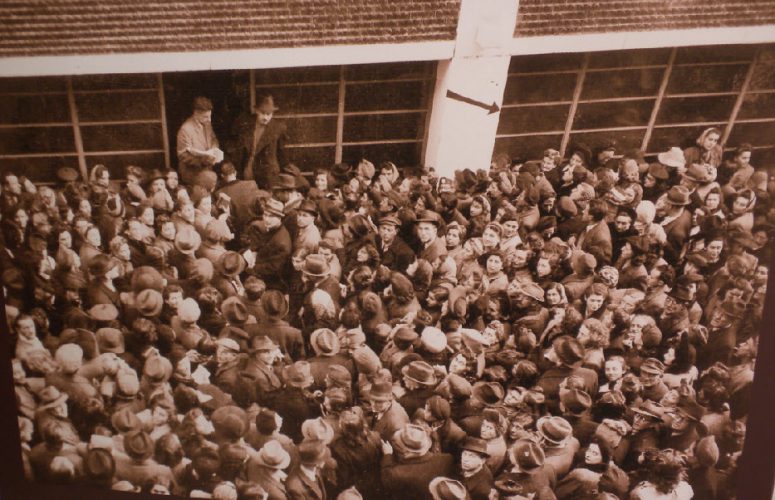 תמונה של המונים צובאים על בית הזכוכית